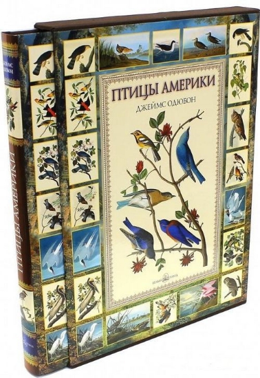Книга Джеймс Одюбон: Птицы Америки. Автор Евгений Коблик