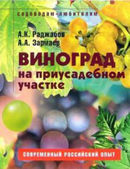 Книга Виноград на приусадебном участке. Пособие для садоводов-любителей. Автор Раджабов А. К., Зарсаев А. А.
