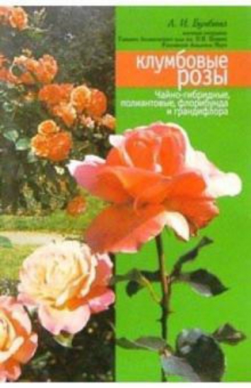 Книга Клумбовые розы. Автор Бумбеева Л.И.