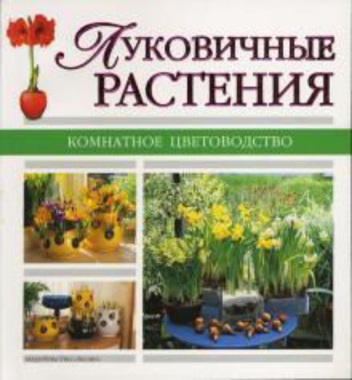 Книга Луковичные растения. Издательство Эксмо
