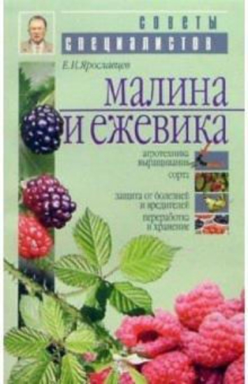 Книга Малина и ежевика. Автор Ярославцев Е. И.
