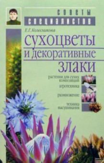 Книга Сухоцветы и декоративные злаки. Автор Колесникова Е. Г.