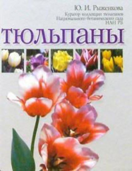 Книга Тюльпаны. Автор Рыженкова Ю. И.