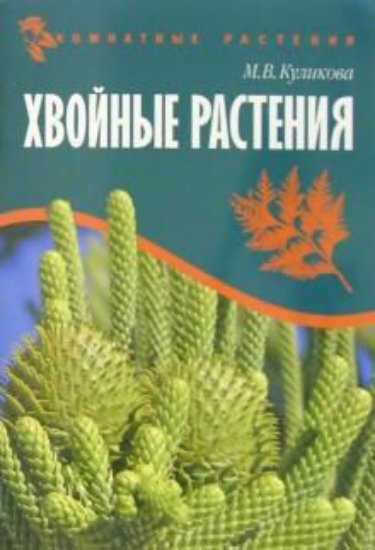 Книга Хвойные растения. Комнатные растения. Автор Куликова М. В.