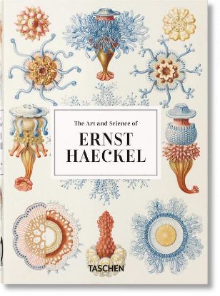 Книга Ernst Haeckel – 40th Anniversary Edition. Автор Rainer Willmann, Julia Voss