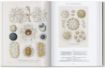Книга Ernst Haeckel – 40th Anniversary Edition. Автор Rainer Willmann, Julia Voss