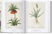 Книга Redouté. Book of Flowers – 40th Anniversary Edition. Автор H. Walter Lack