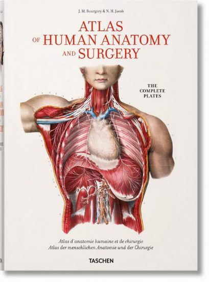 Изображение Книга Bourgery. Atlas of Human Anatomy and Surgery