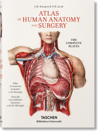 Зображення Книга Jean Marc Bourgery. Atlas of Human Anatomy and Surgery (Bibliotheca Universalis)