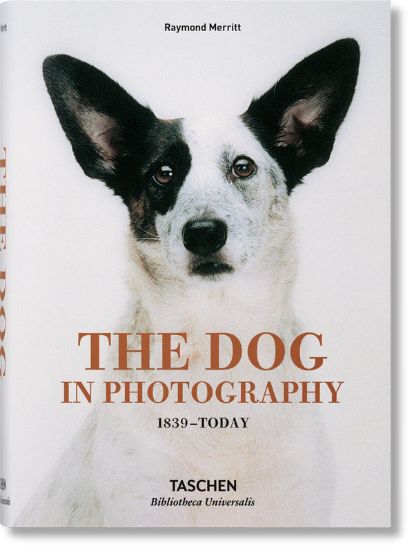 Зображення Книга The Dog in Photography 1839–Today (Bibliotheca Universalis)