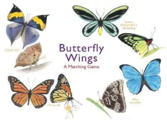 Зображення Игра Butterfly Wings : A Matching Game