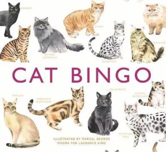 Зображення Игра Cat Bingo