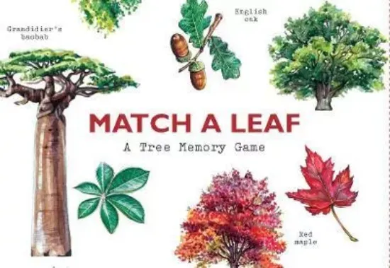 Зображення Книга Match a Leaf : A Tree Memory Game