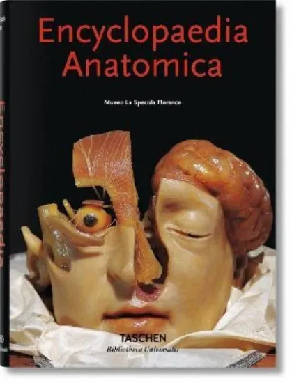 Зображення Encyclopaedia Anatomica