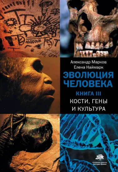 Книга Книга Эволюция человека. В 3-х книгах. Книга 3. Кости, гены и культура. Автор Марков А.В., Наймарк Е.Б.