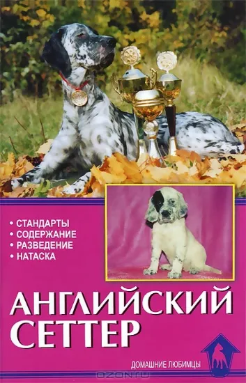 Книга Английский сеттер. Автор Плотникова Л.