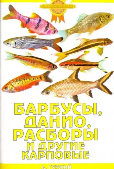 Книга Барбусы, данио, расборы и другие карповые. Автор Гуржий Александр Николаевич