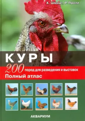 Книга Куры. 200 пород для разведения и выставок. Автор Шмидт Хорст