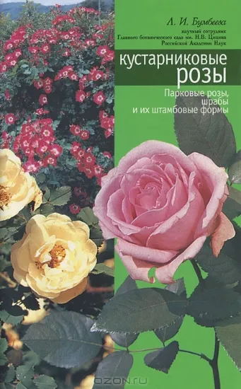 Зображення Книга Кустарниковые розы (парковые розы, шрабы, штамбовые формы)