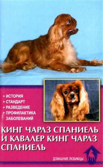 Книга Кинг Чарлз спаниель и кавалер кинг Чарлз Спаниель. Автор Маркова Л., Ланко Н.