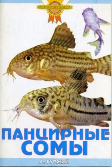 Книга Панцирные сомы. Автор Гуржий А.