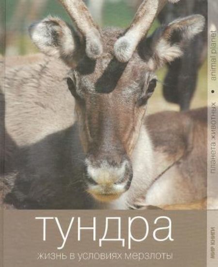 Книга Тундра. Жизнь в условиях мерзлоты. Автор Жирнова Е. Ю.