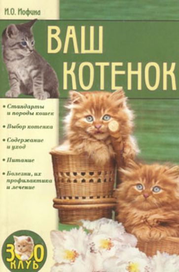 Книга Ваш котенок. Автор Иофина Ирина