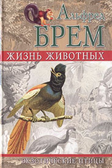 Книга Экзотические птицы. Автор Брем А. Э.