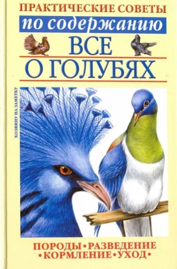 Книга Все о голубях. Автор Бондаренко С.