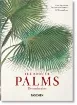 Книга Martius. The Book of Palms. 40th Ed.. Издательство Taschen