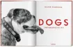 Книга Walter Chandoha. Dogs. Photographs 1941–1991. Издательство Taschen