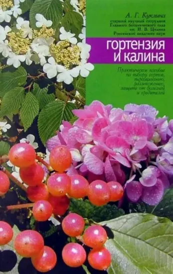 Книга Гортензия и калина. Автор Куклина А.Г.