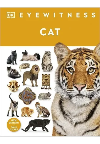 Книга Cat. Автор DK