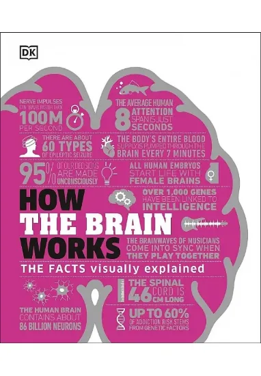 Книга How the Brain Works: The Facts Visually Explained. Автор DK