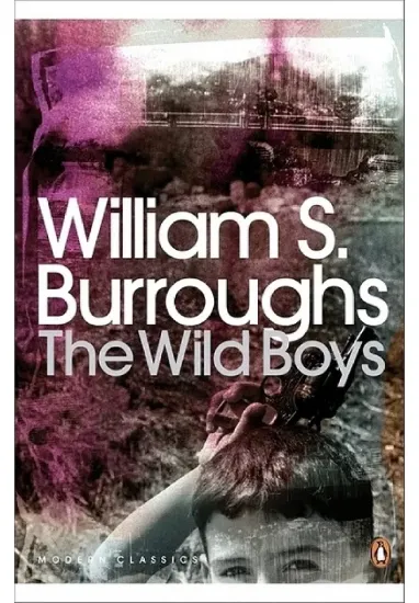 Книга The Wild Boys. Автор William S. Burroughs