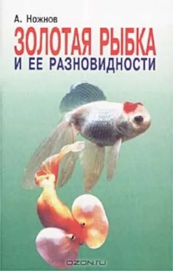 Изображение Золотая рыбка и ее разновидности